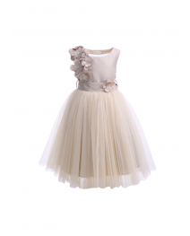 Girls Party Tulle Dress with Floral Patch Mesh at Back