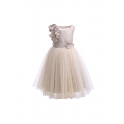 Girls Party Tulle Dress with Floral Patch Mesh at Back