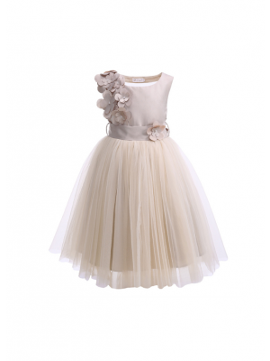 Girls Party Tulle Dress with Floral Patch Mesh at Back