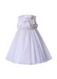Girls Shiny Embroidery Fower Party Dress