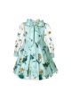 Girls Flowers Special Occasion Chiffon Dress