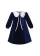 Navy Blue Velvet Vintage A-line Long Sleeves Dress