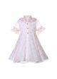 Girls Light Pink Rose Valentines Dress