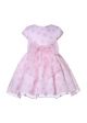 Girls Heart Printed Pink Bow Tulle Dress