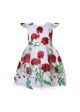 Girls Rose Embroidered Floral Tulle White Dress