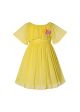 Young Girls Yellow Chiffon Dress 4-14 Years