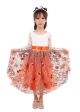 Girls Embroidered Tulle Dress for Special Occasion