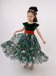 Girls Green Special Occcasion Embroidered Tulle Dress  3-10 Years