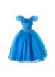 Cinderella Cosplay Party Dress With Flowers
