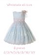 (8 pieces) Light Blue Lace Flower Tulle Dress