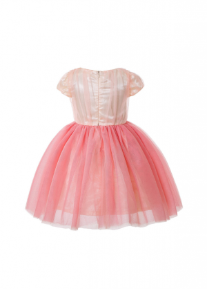 Girls Pink Flower Tulle Dress 3-8 Years