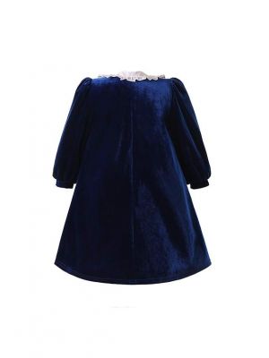 Navy Blue Velvet Vintage A-line Long Sleeves Dress