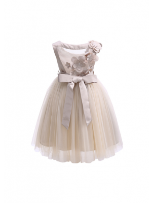 Girls Party Tulle Dress with Floral Patch Mesh at Back