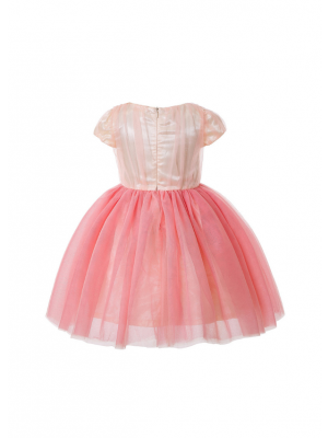 Girls Pink Flower Tulle Dress 3-8 Years